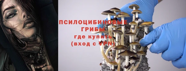 СК Покровск